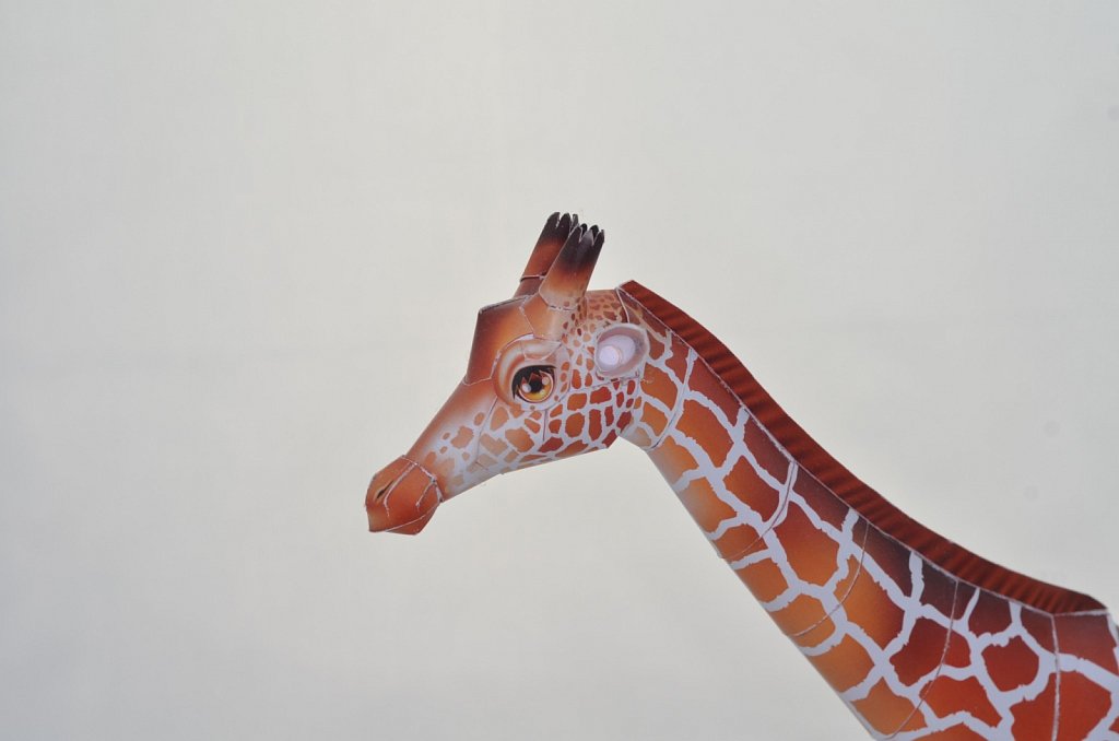 Giraffe 2