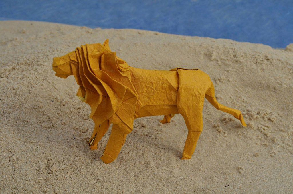 Lion 2