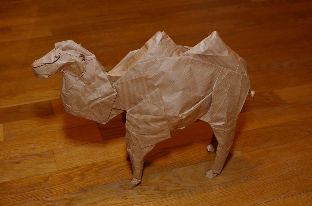 Bactrian Camel